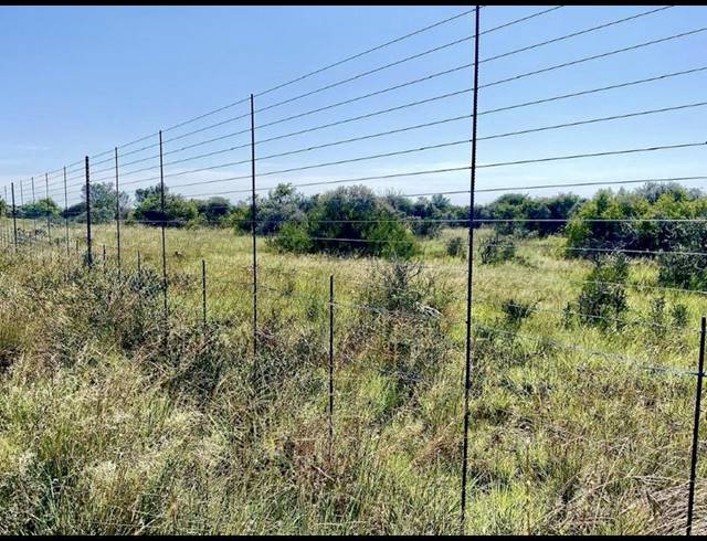FARM FOR SALE IN REIVILO RURAL
